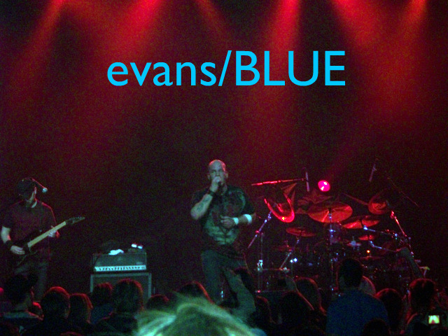evansblue1.jpg