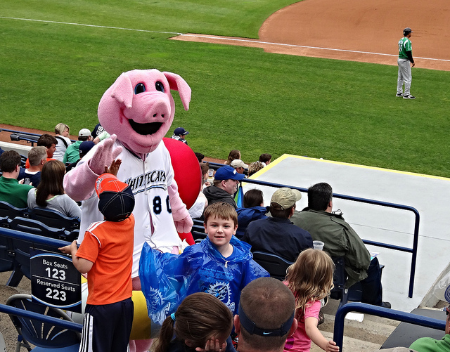 17873994349_ed7942c830_z