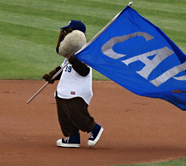 18033587786_4f16ce13d2_z