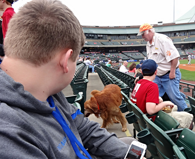 26739842055_e682d92566_z